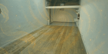 El alma de un espacio: memorias reveladas en los Registros Akáshicos