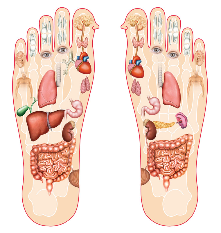 Reiki vs terapias energéticas diferencias y beneficios