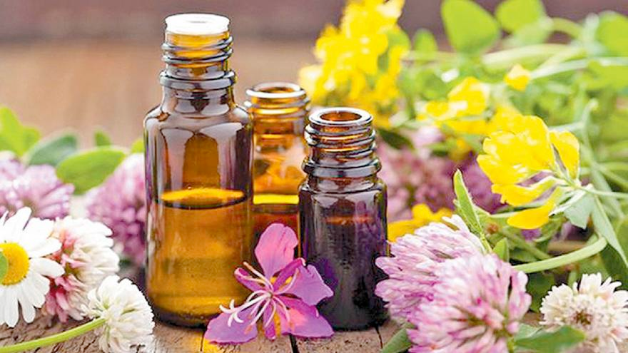 Reiki vs terapias energéticas diferencias y beneficios